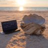 Crypto Clam's profile picture