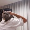 nemomeow🐈⬛'s profile picture