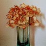 Фото профиля mai2