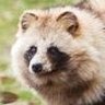かなや's profile picture