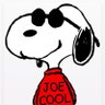 Фото профиля Joe Cool