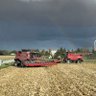 Hurly profil fotoğrafı
