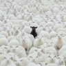 Etcetera... profil fotoğrafı