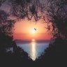 M's profile picture