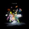 Фото профиля taka-jedi