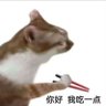shalot's profile picture