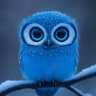 234 Genius profil fotoğrafı