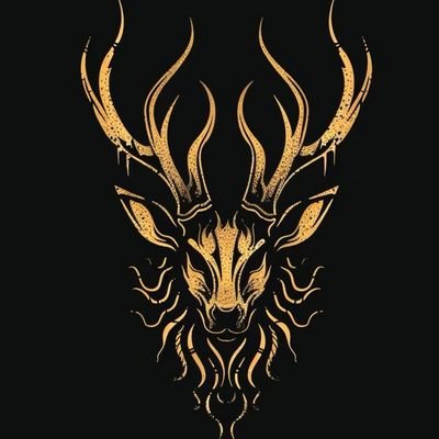 BitInsighter's profile picture