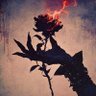 Фото профиля Morgana