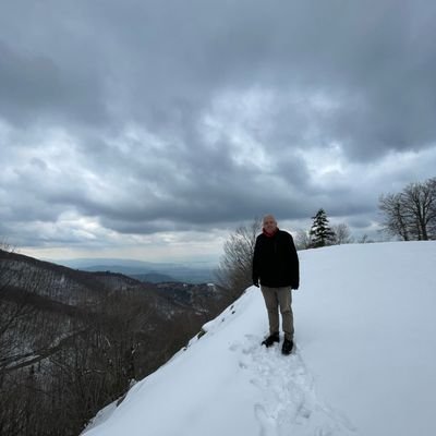 Gökhan Günerler's profile picture