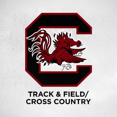 GamecockTrack's profile picture