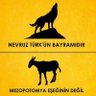 Фото профиля Abdullah Uğurcan