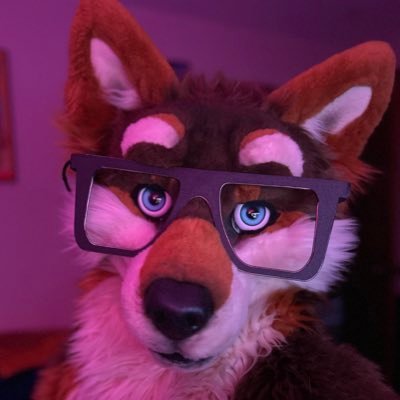 CarsAndFursuits's profile picture