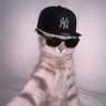 Mr. Wumbus profil fotoğrafı