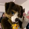 mediar's profile picture
