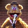 Profilbild von Fozzie