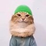 Seanie 的头像