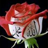 Kayıp İmparatorluk's profile picture