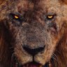 Фото профиля Scarface 🦁♈️💡