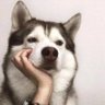 Anna profil fotoğrafı