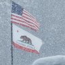 MAX MOJO🦉🇺🇸's profile picture