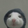 صالح's profile picture