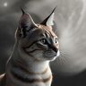打狗沙貓 SandCat 的头像