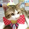 Profilbild von GON nyan
