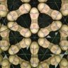 Matti Karvonen's profile picture