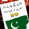 پاکستان ذندہ باد 的头像