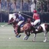 Polo19 profil fotoğrafı