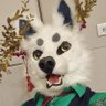 Tsukiokami profil fotoğrafı