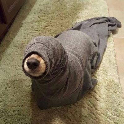 safezonebemine's profile picture