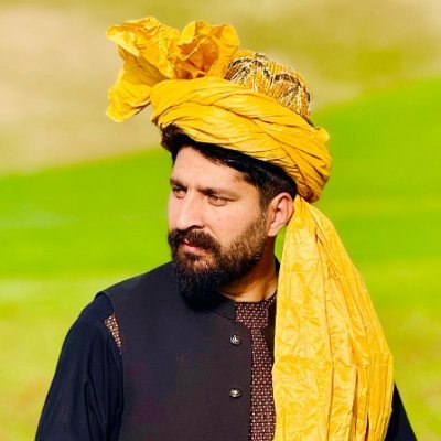 Faridullah Mohammadi's profile picture