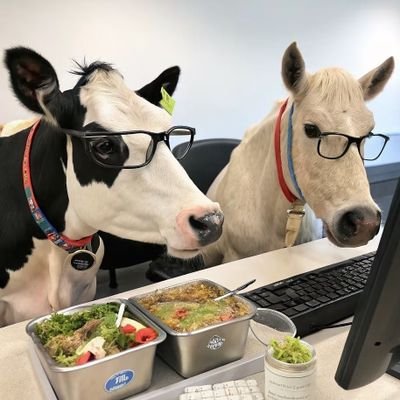 Thomas980592901's profile picture