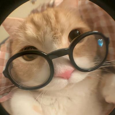 🎲's profile picture