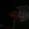 Profilbild von Elijah!