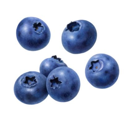 𝕣𝕒𝕤𝕙𝕒's profile picture