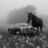 Мухаммаджон Хамраев profil fotoğrafı