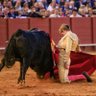 Torero del arenal profil fotoğrafı