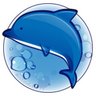 七's profile picture