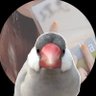 Profilbild von りえ🐣