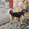 Carlos correia profil fotoğrafı