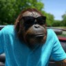 Gortan Narog's profile picture
