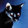 Profilbild von Aoi🐈‍⬛