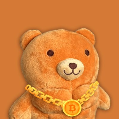 btcbrobear's profile picture