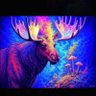 Luminous Moose's profile picture