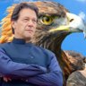 Profilbild von Arshad Khan
