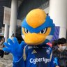 Фото профиля ゼルビーくん💙
