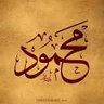محمود محمد أحمد 的头像